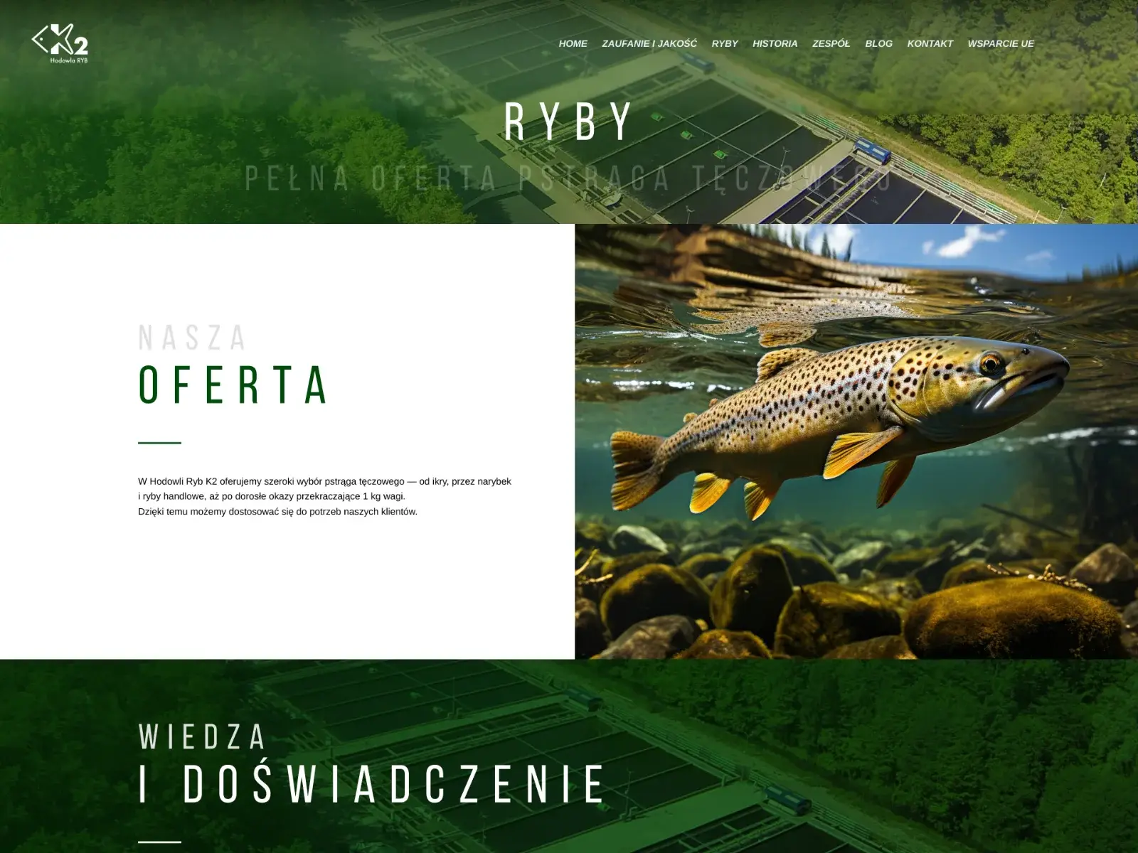 Podstrona Ryby – oferta pstrąga tęczowego na stronie K2